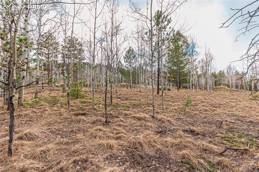 Image 15 of 37: View