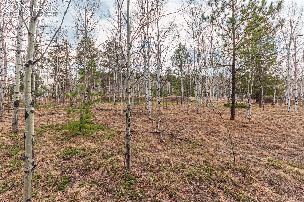 Image 16 of 37: View