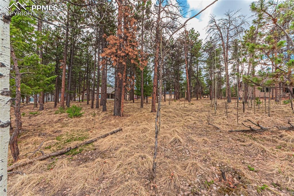 Image 17 of 37: Other