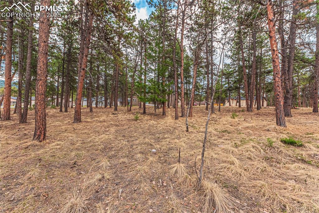 Image 18 of 37: Other