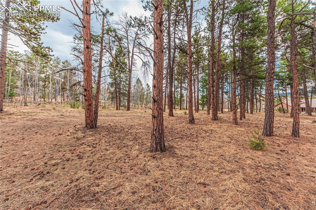 Image 19 of 37: Other