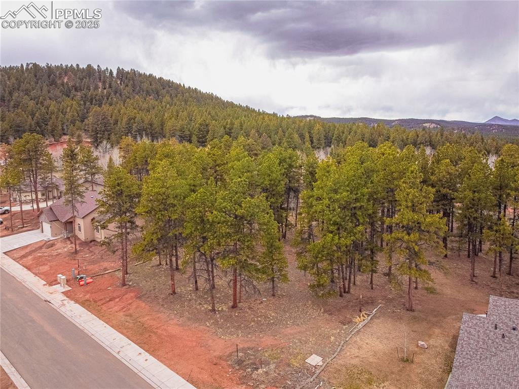 Image 21 of 37: Aerial View