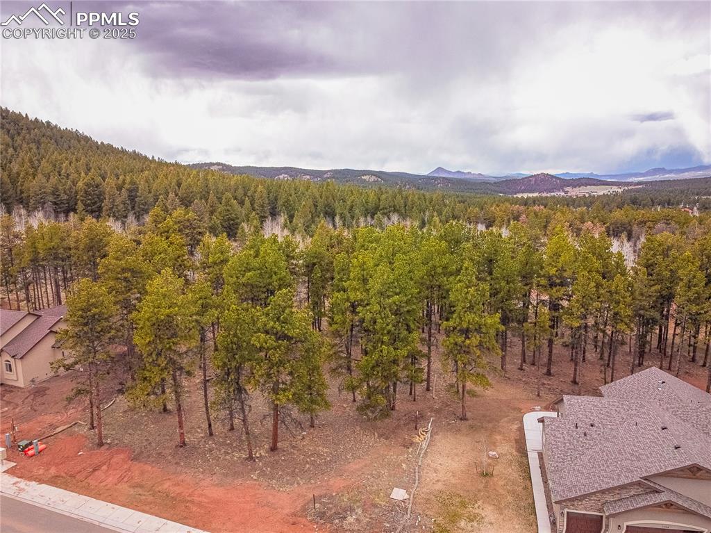 Image 22 of 37: Aerial View