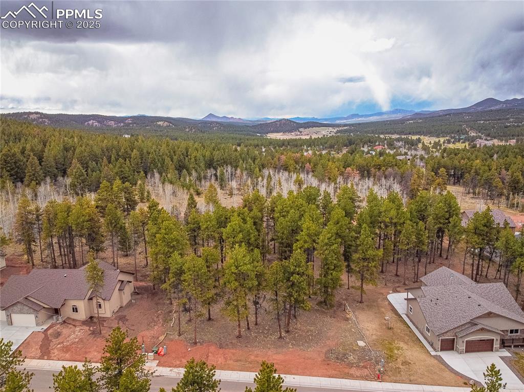 Image 24 of 37: Aerial View