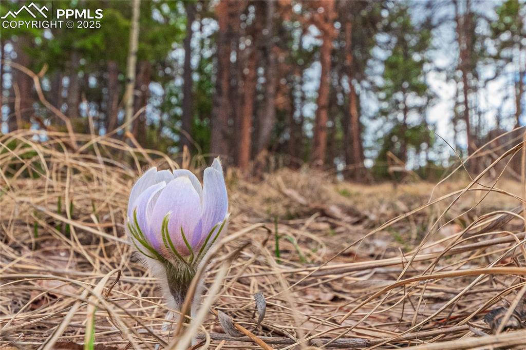 Image 5 of 37: Other