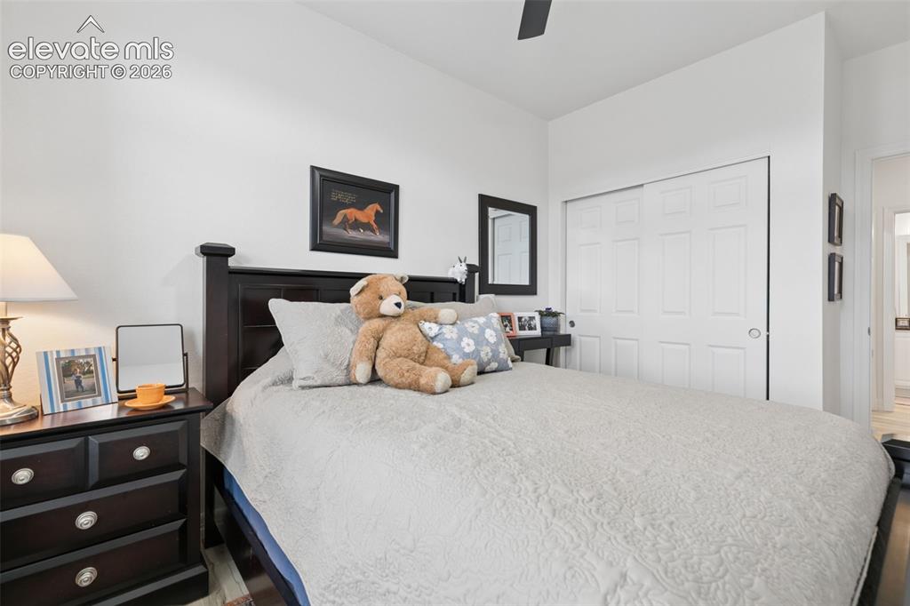 Image 9 of 34: Guest Bedroom on Main Level