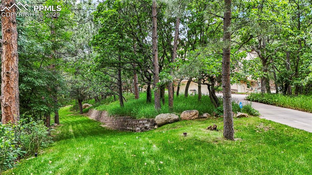 Image 41 of 49: Yard