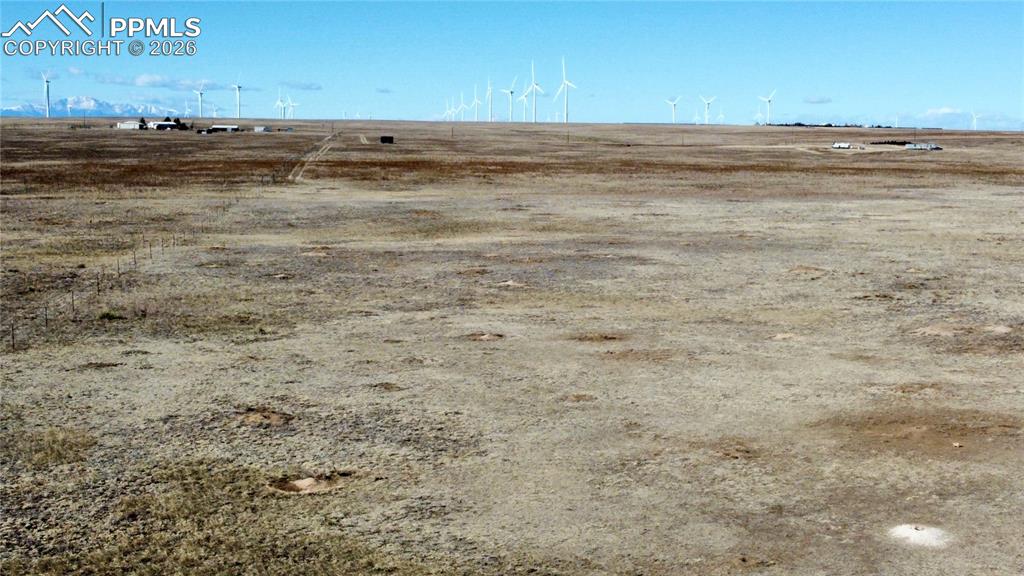 Image 10 of 20: Other