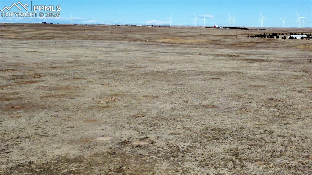 Image 12 of 20: Yard