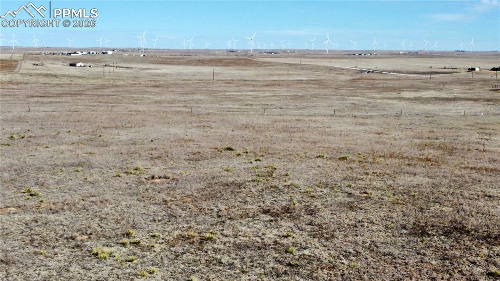 Image 14 of 20: Yard