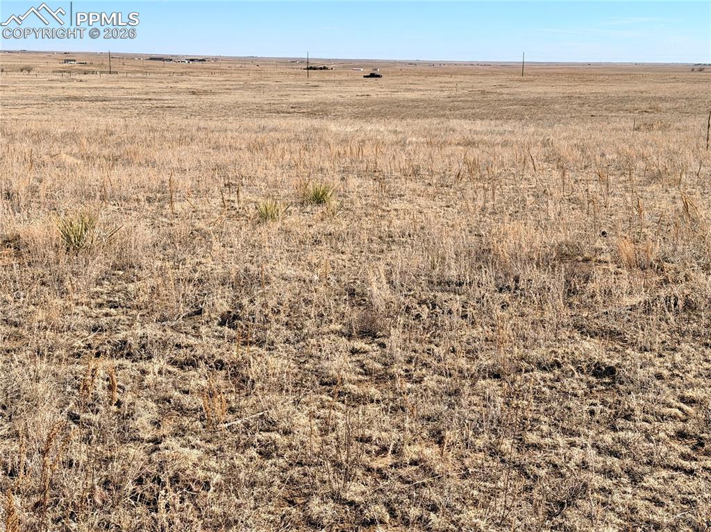 Image 3 of 20: Other