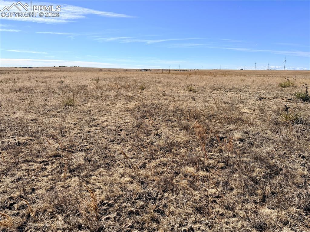 Image 4 of 20: Other