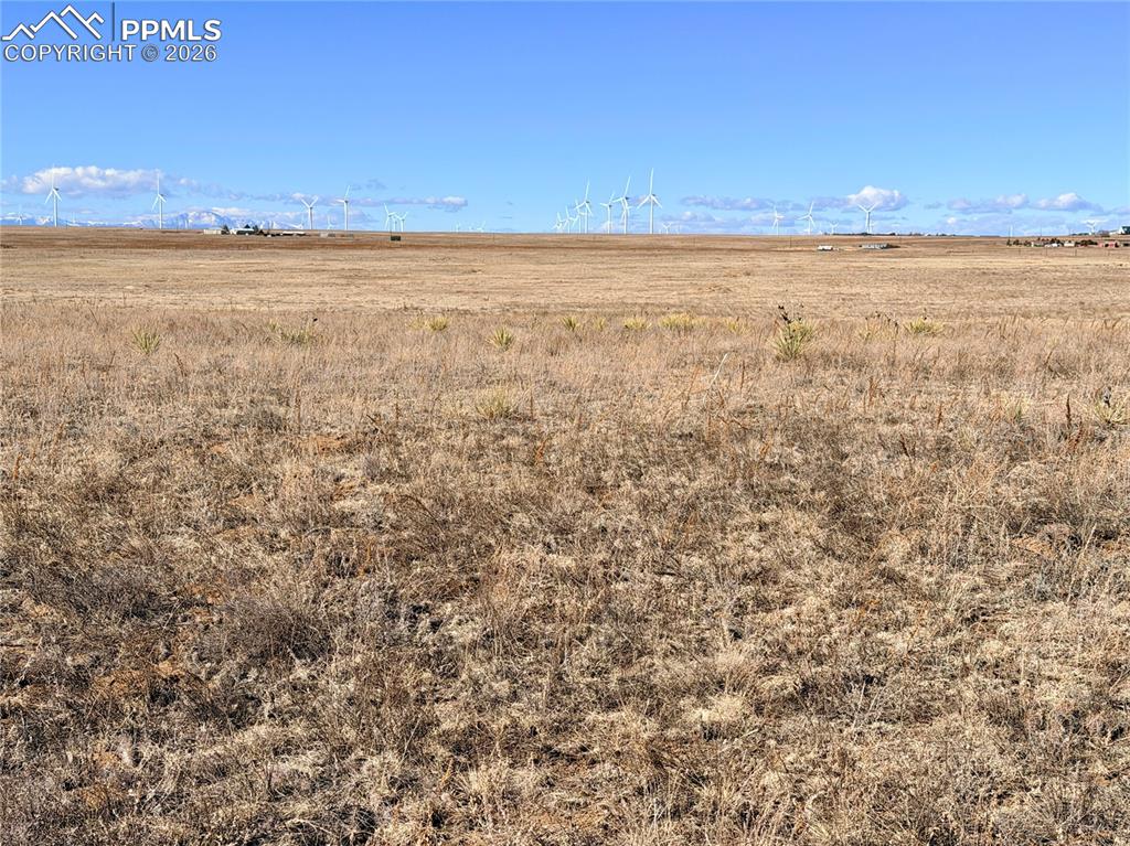 Image 5 of 20: Other