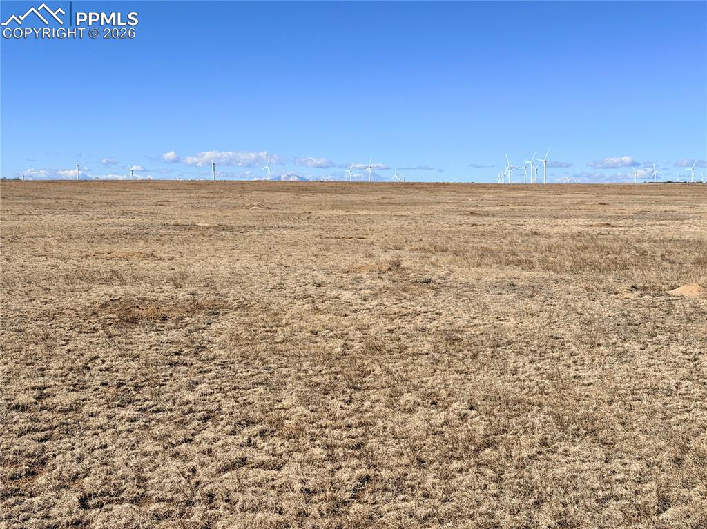 Image 6 of 20: Other