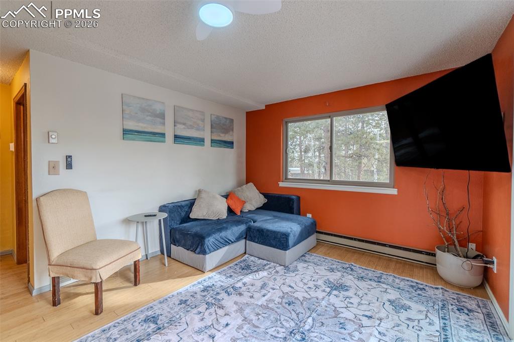 Image 13 of 49: Living Room