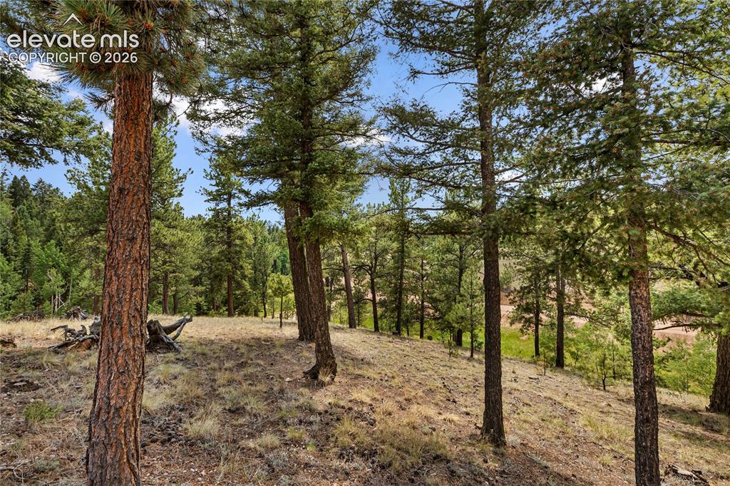 Image 9 of 42: Other