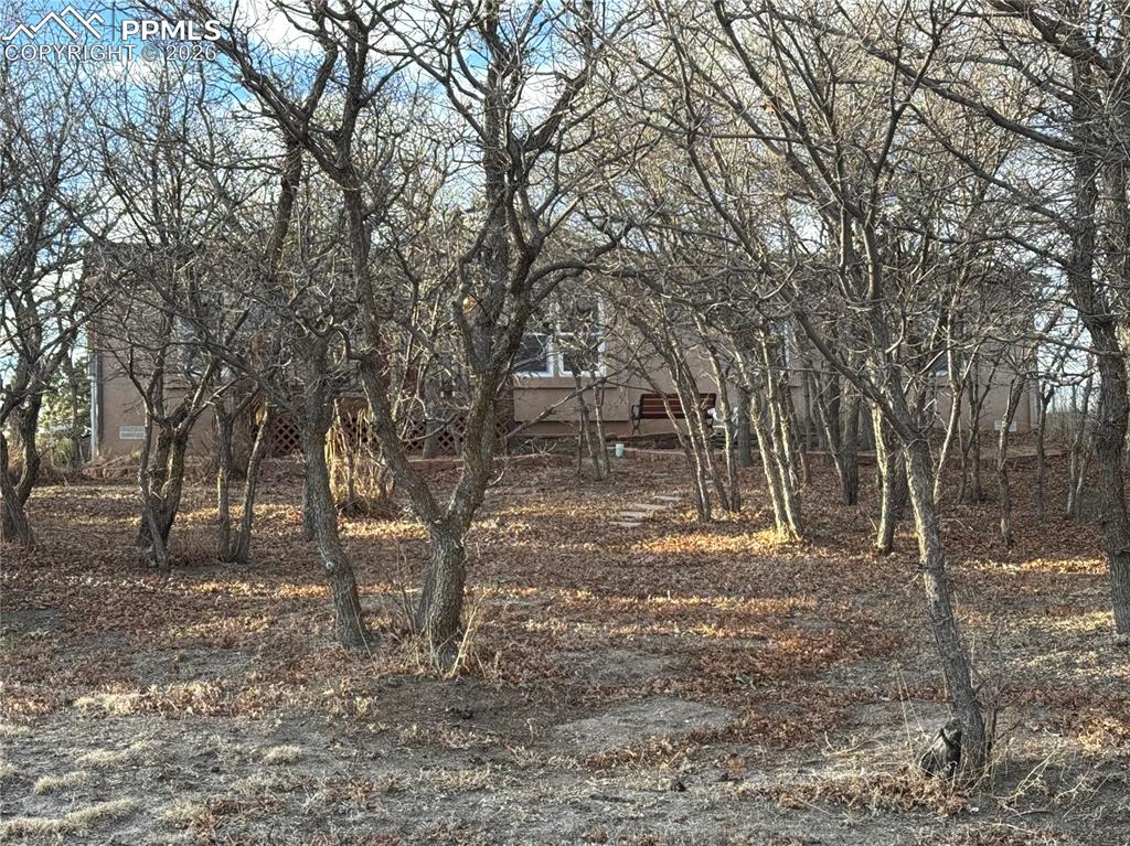 Image 24 of 33: Yard