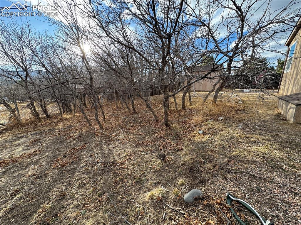 Image 28 of 33: Yard