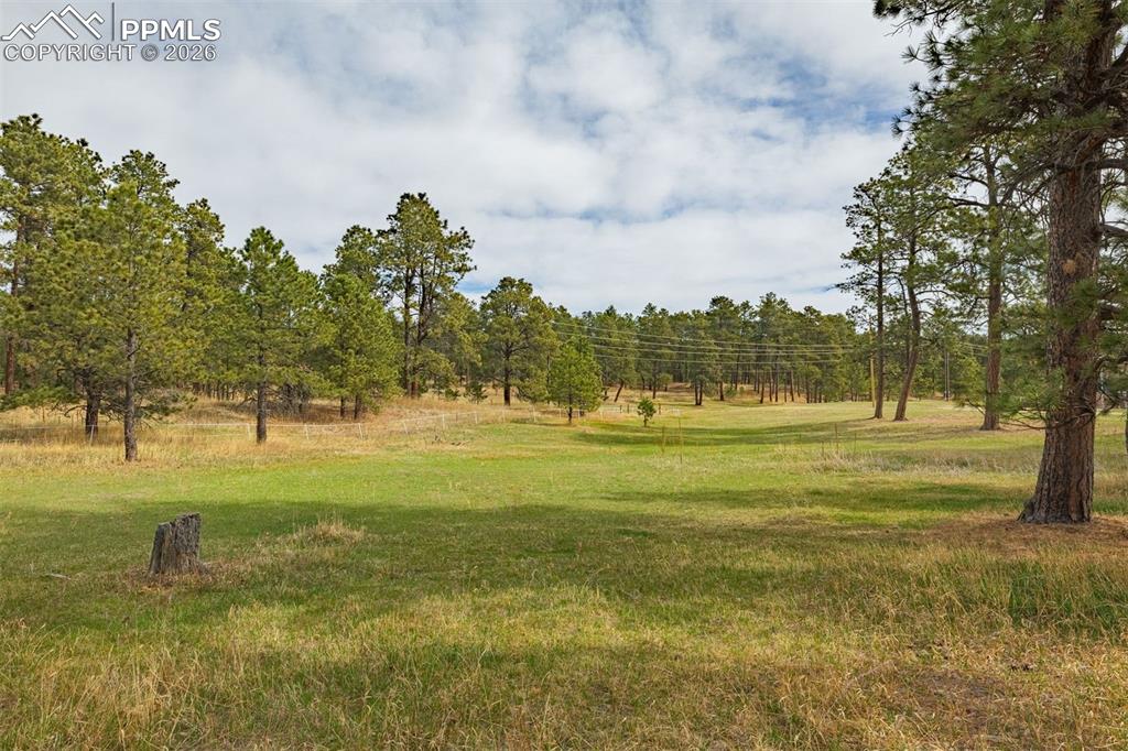 Image 25 of 46: Other