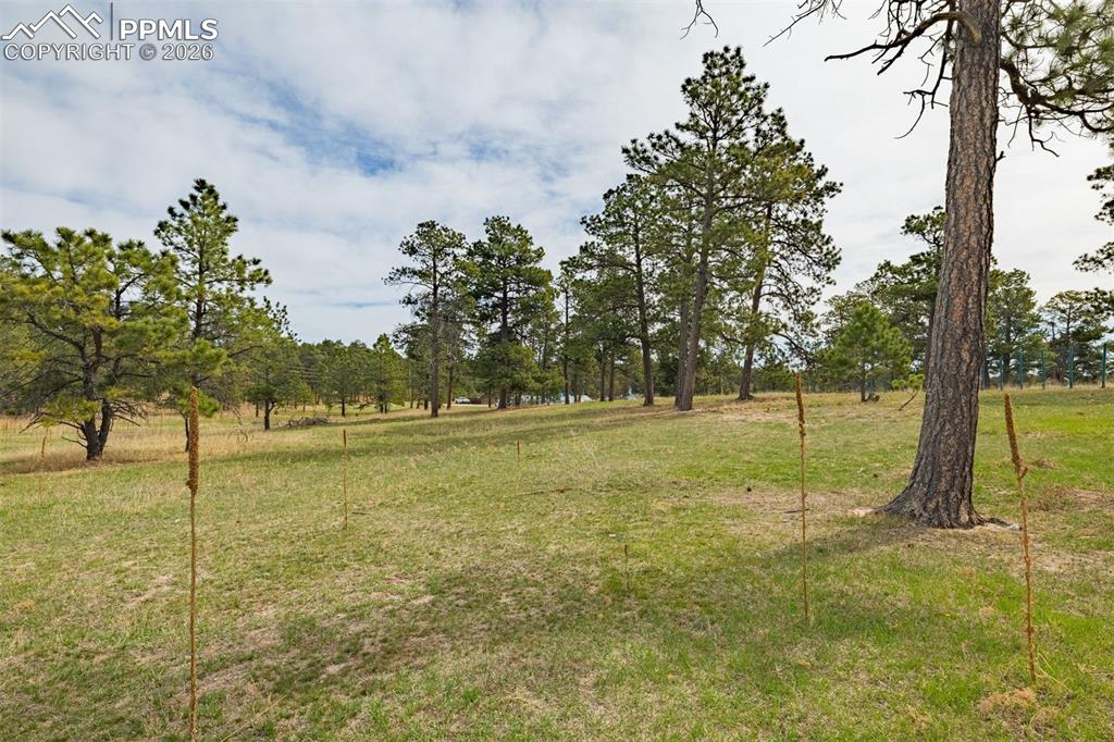 Image 26 of 46: Yard