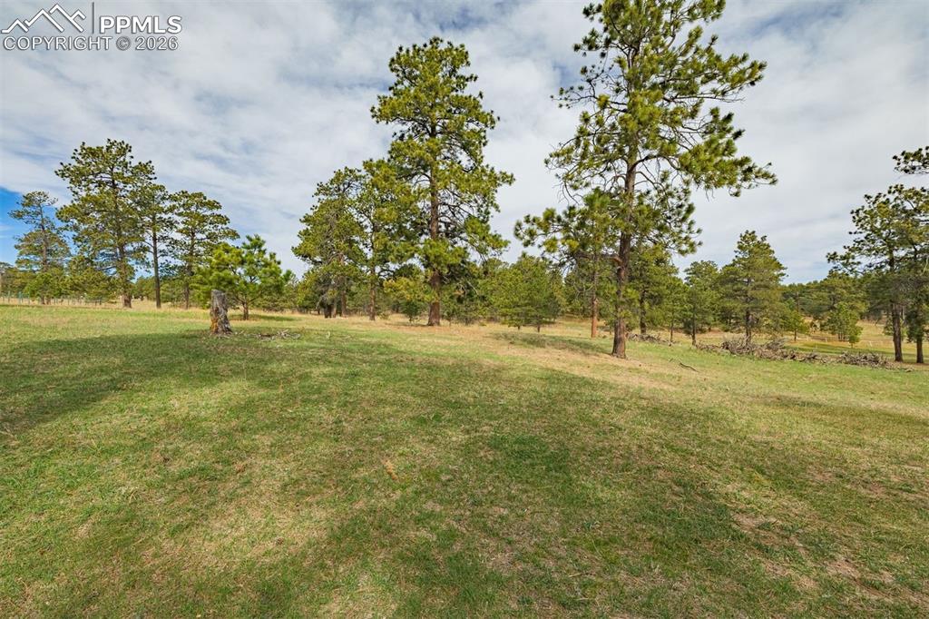 Image 31 of 46: Yard