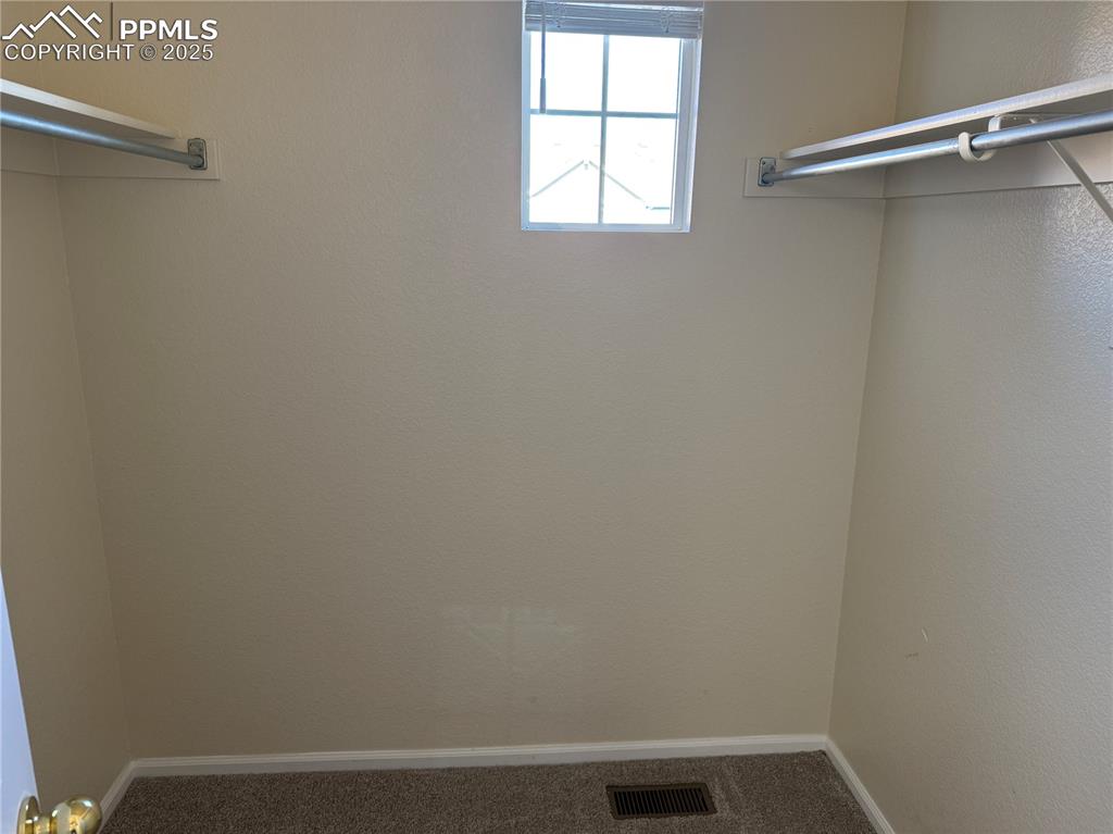 Image 16 of 32: Spacious closet with carpet floors
