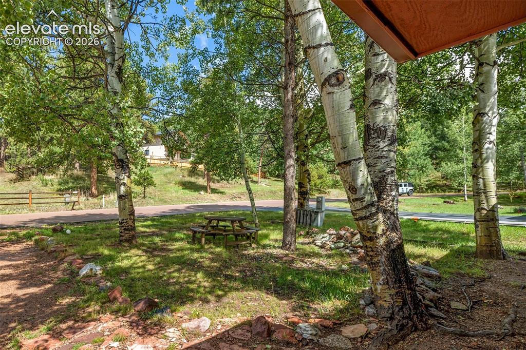 Image 22 of 25: View of beautiful Aspens and front yard!