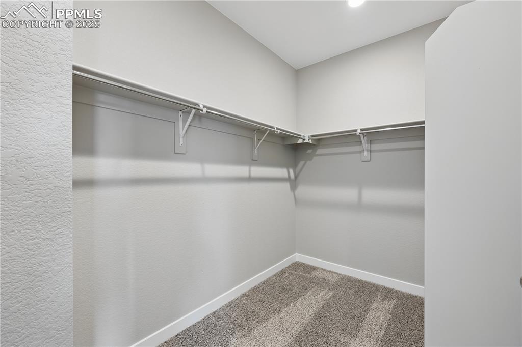 Image 16 of 25: Walk in closet featuring light carpet