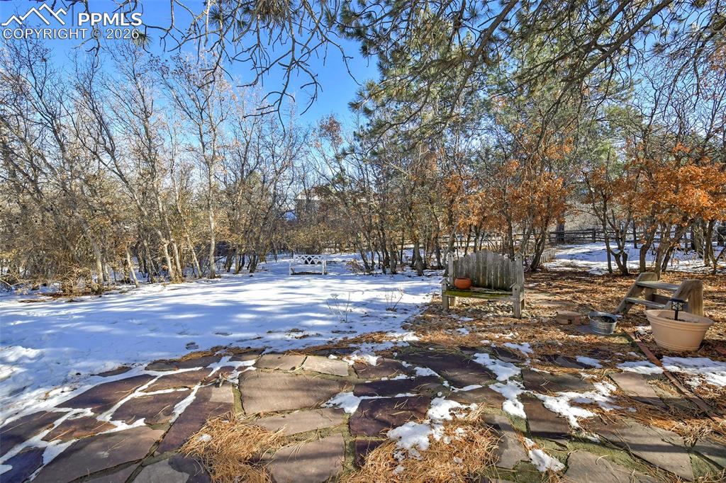 Image 12 of 50: Yard