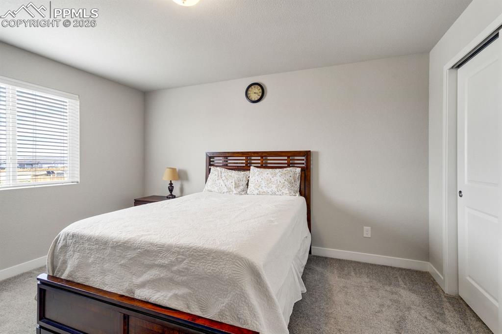 Image 28 of 45: Bedroom featuring light carpet and a closet
