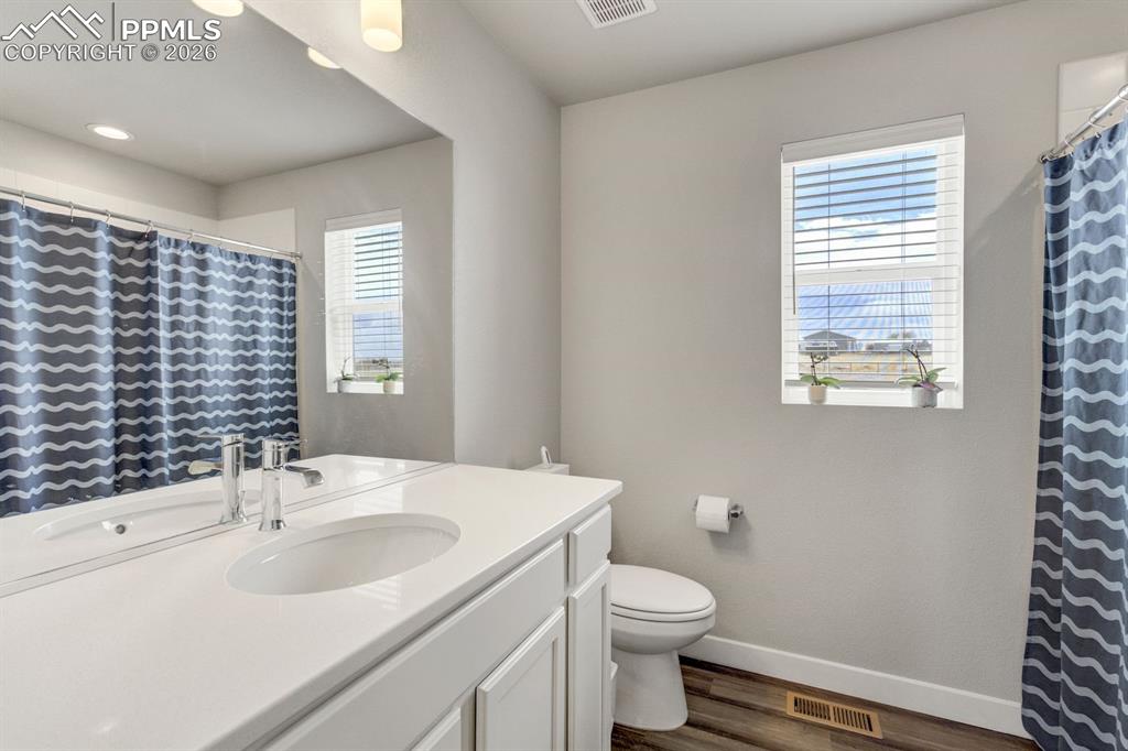 Image 38 of 46: Bathroom featuring a shower with curtain, vanity, and dark wood-style floor