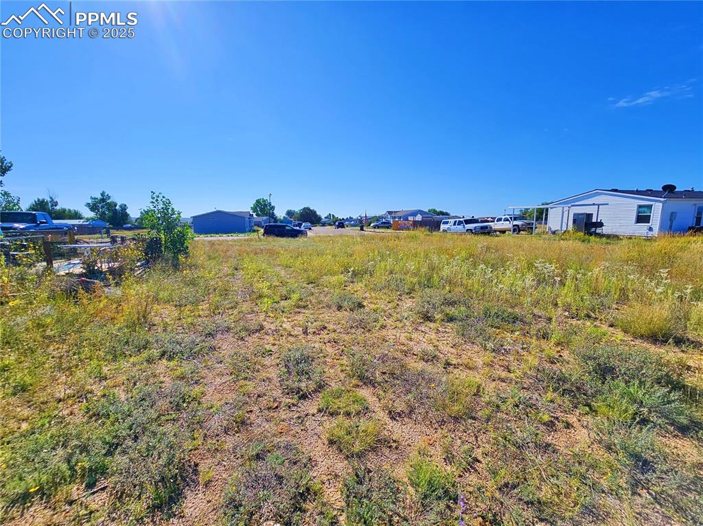 Image 5 of 6: View of yard