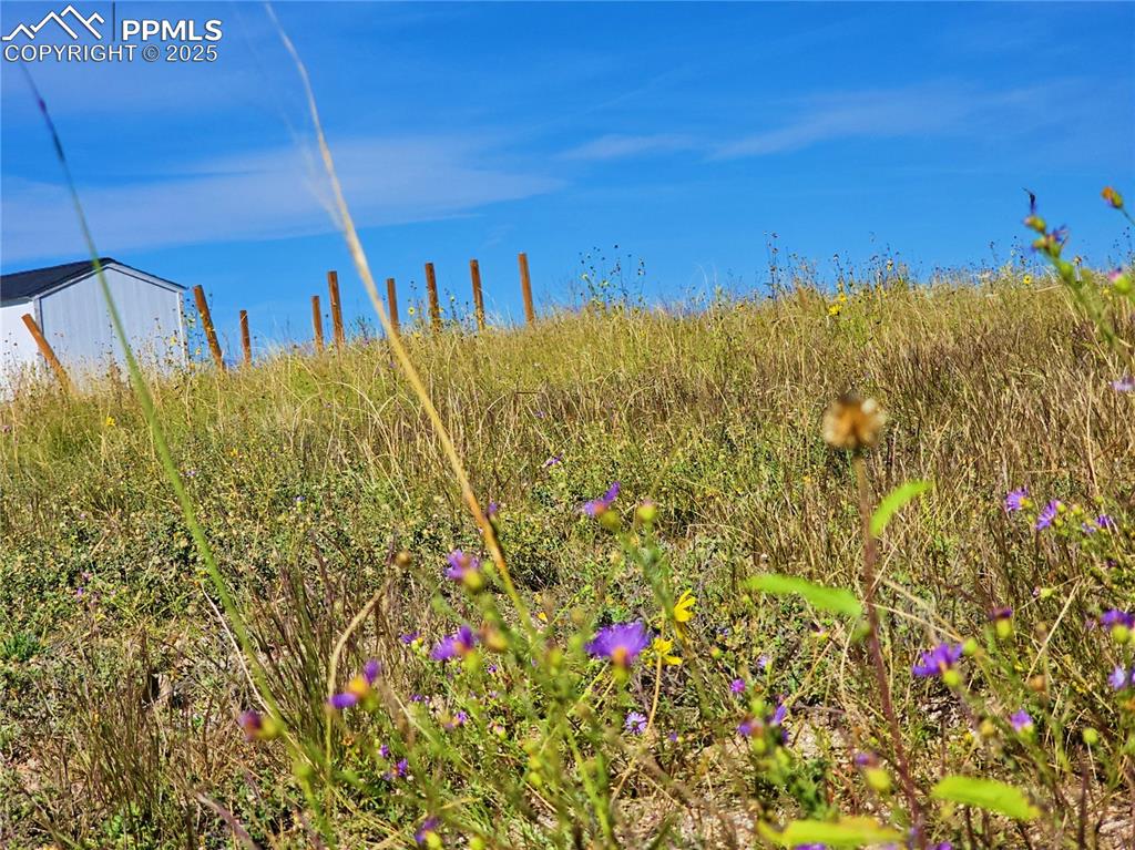 Image 6 of 6: Exterior view