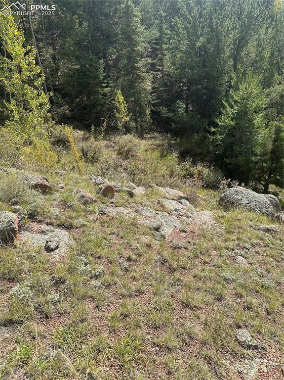 Image 10 of 10: View of undeveloped land