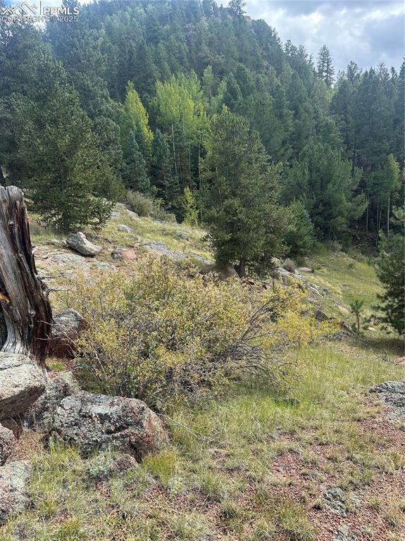 Image 8 of 10: View of wooded area