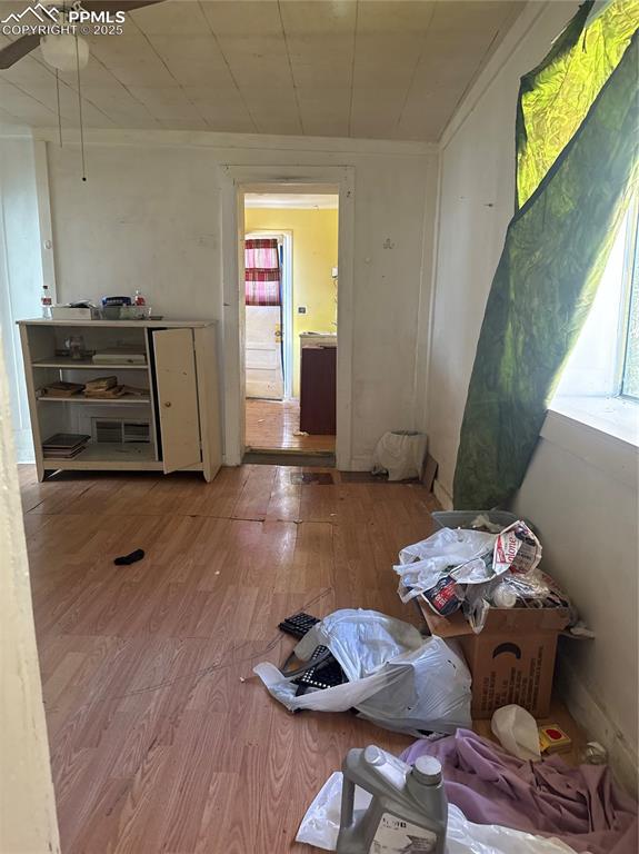 Image 7 of 14: Other