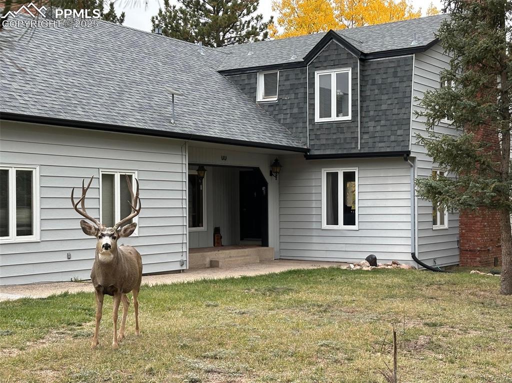 Image 45 of 50: Front of Structure