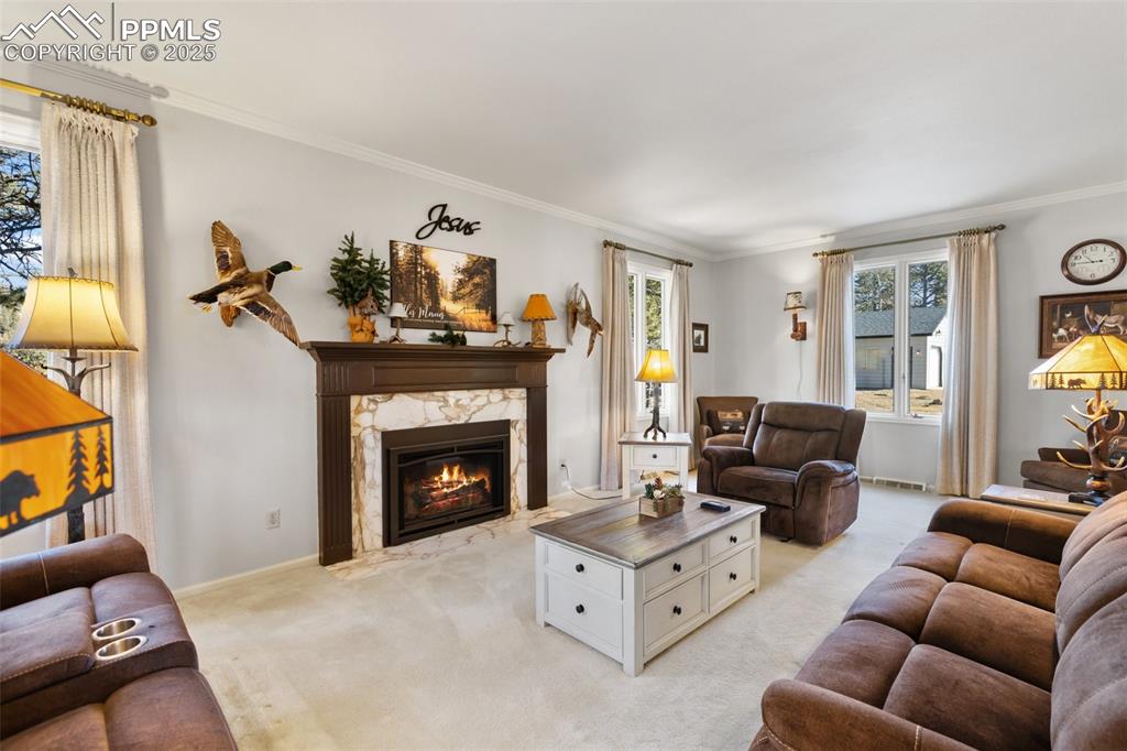 Image 8 of 50: Living Room