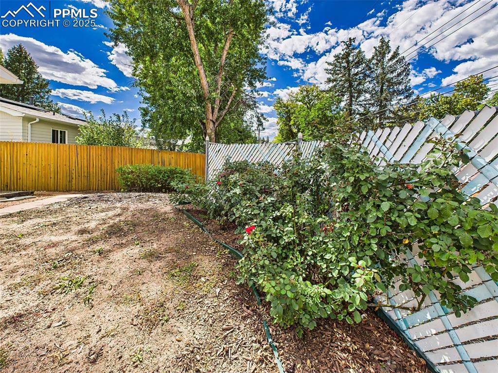 Image 39 of 40: Beautiful rose bushes border the patio!