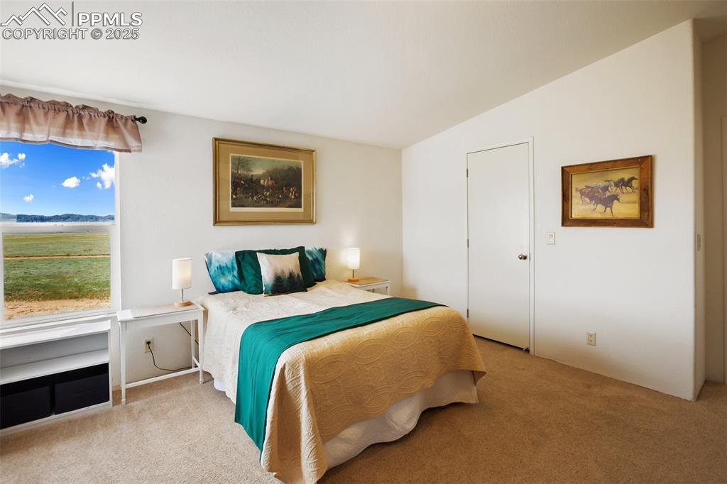 Image 26 of 49: Bedroom featuring light colored carpet