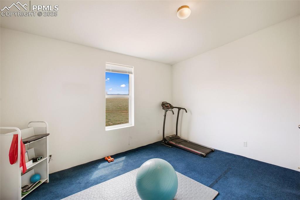 Image 31 of 49: Exercise room featuring carpet floors