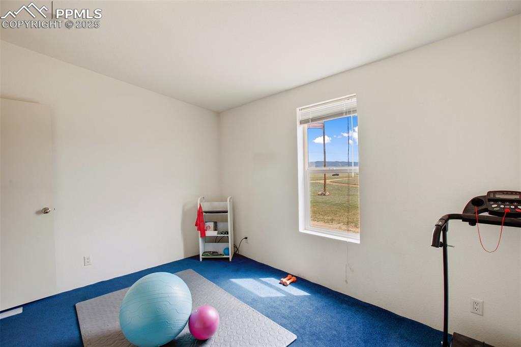 Image 33 of 49: Exercise area with carpet