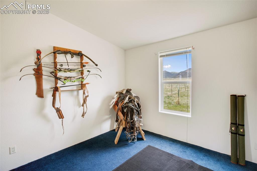 Image 37 of 49: Miscellaneous room featuring carpet and a mountain view