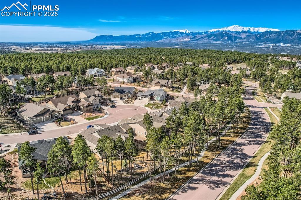 Image 44 of 49: Aerial View