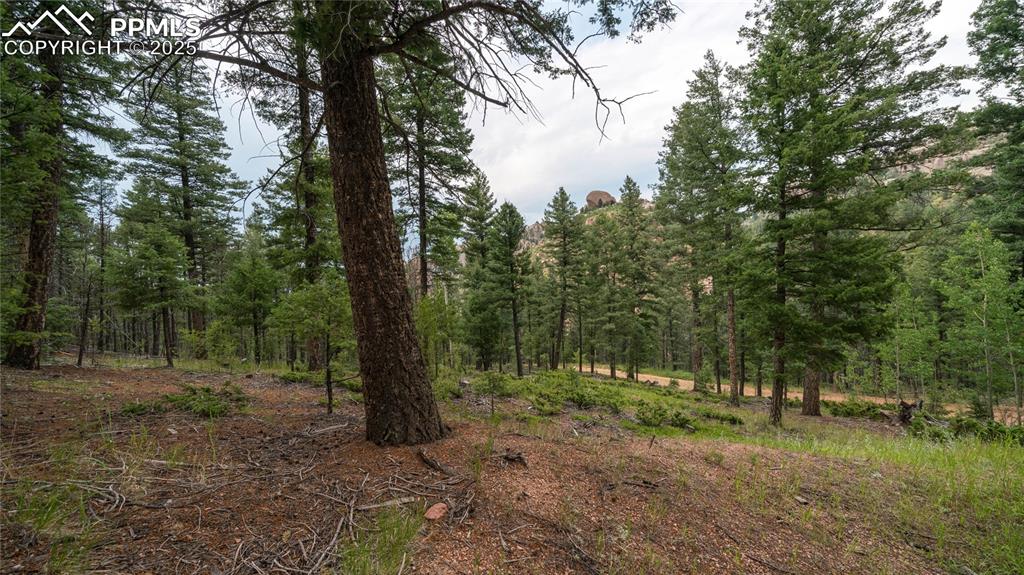 Image 9 of 21: Other