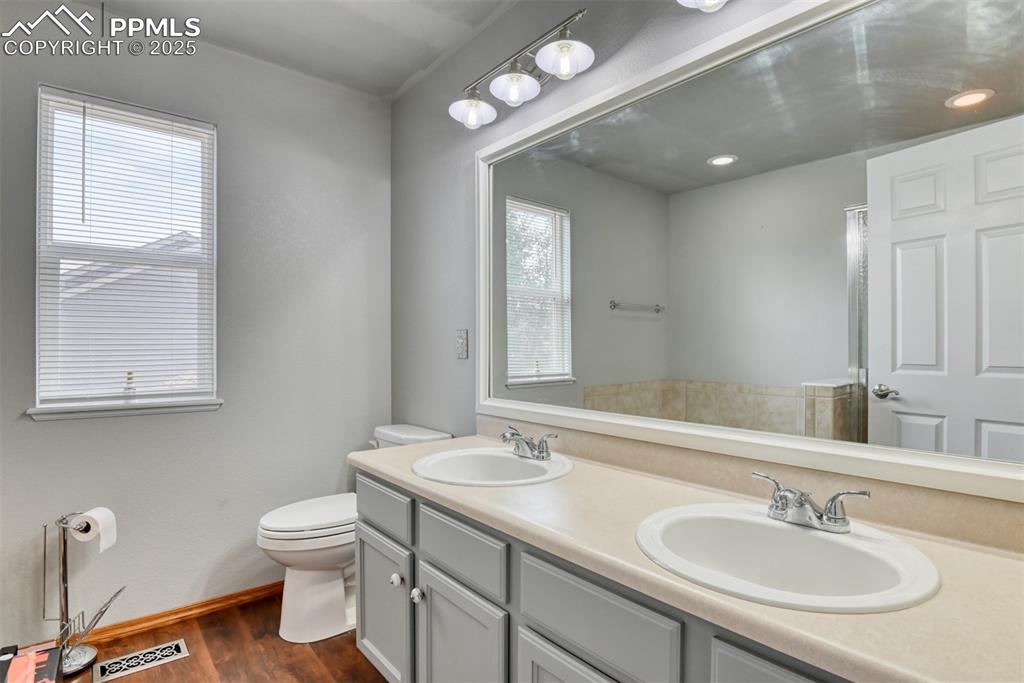 Image 29 of 49: Full bathroom featuring healthy amount of natural light, dark wood-style fl