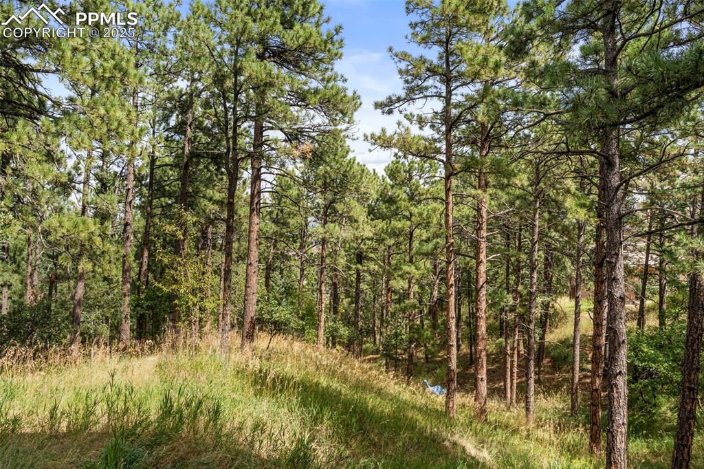 Image 38 of 50: Other