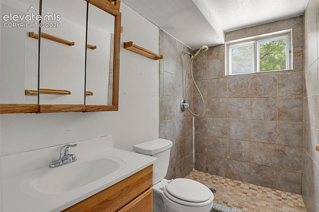 Image 28 of 46: Basement Bathroom