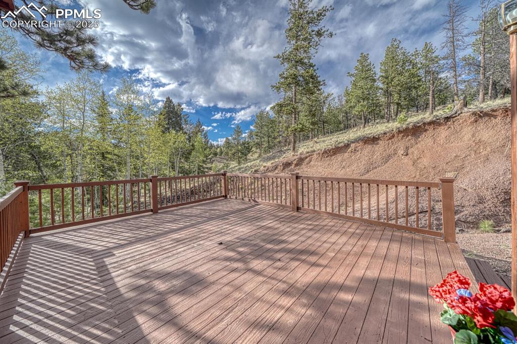 Image 29 of 48: Deck