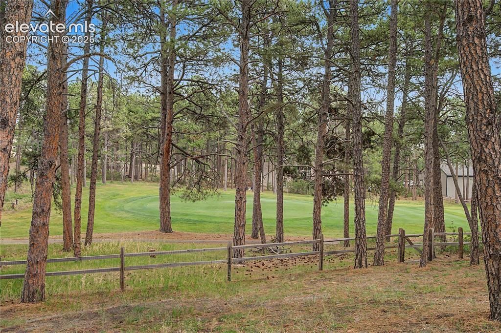 Image 2 of 46: Mature pine trees bordering a green expanse with a rustic wooden fence